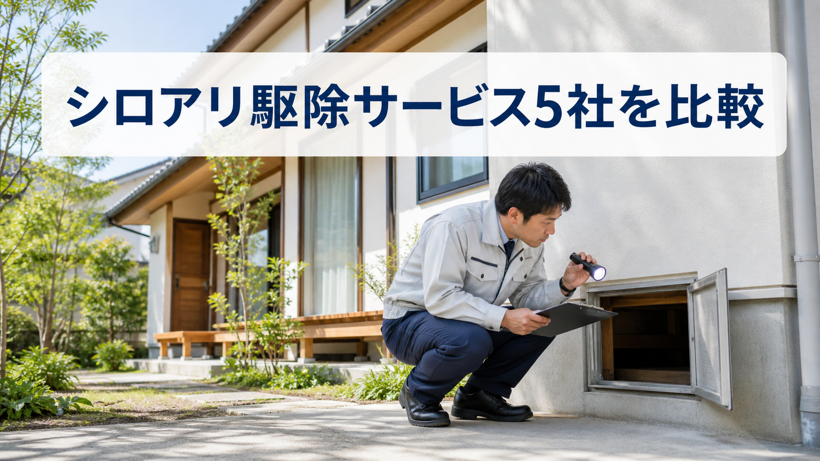 シロアリ駆除サービス5社を比較｜アサンテの無料調査・保証・点検
